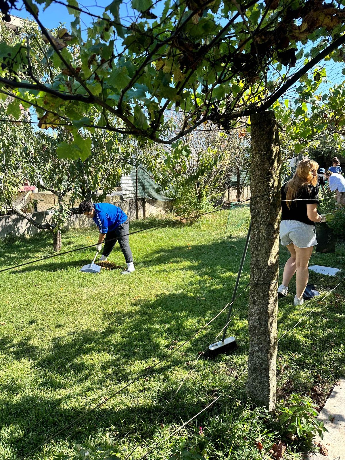Environmental Sustainability — moment 6