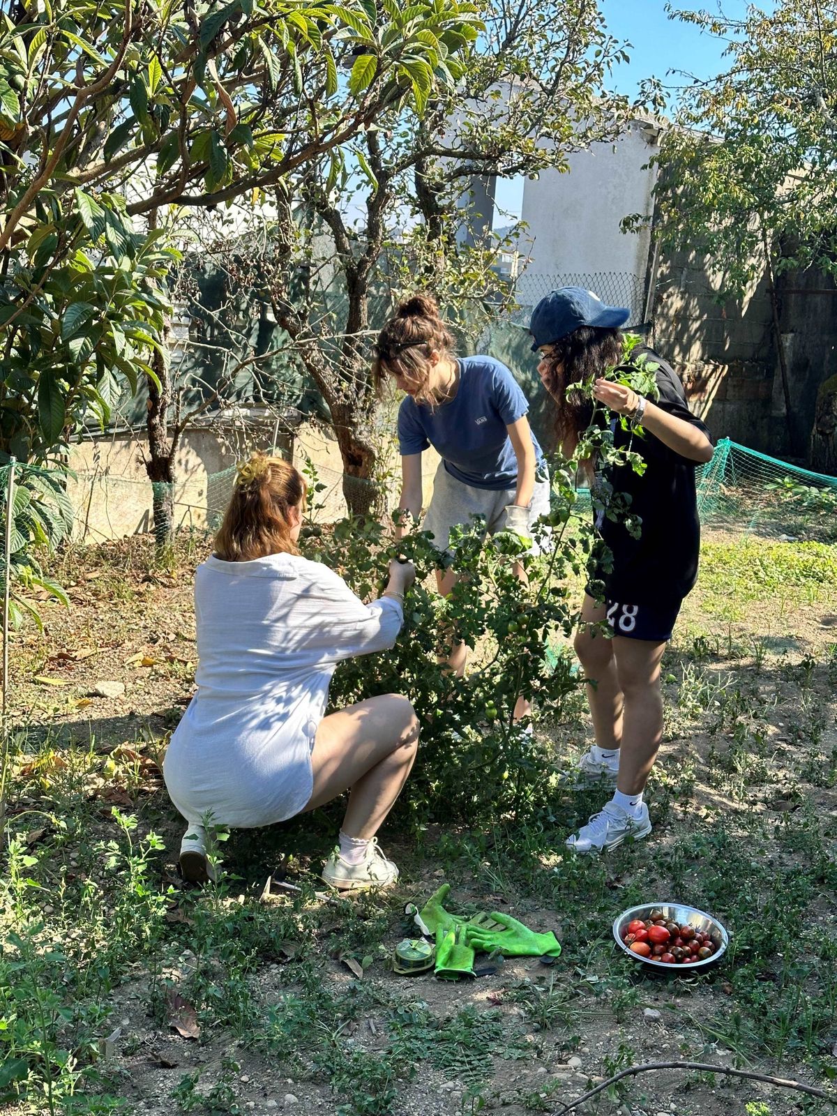 Environmental Sustainability — project photo